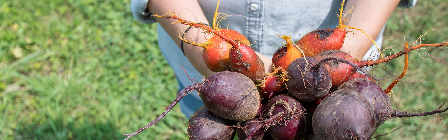 Produce at Fall City Farms