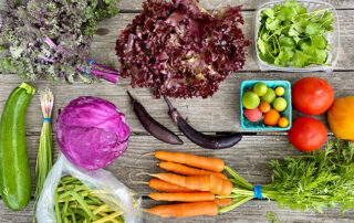 Produce at Fall City Farms